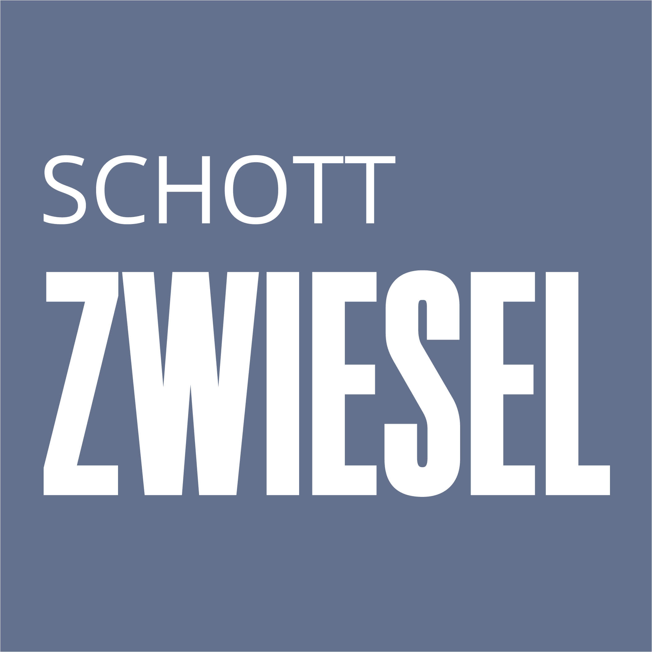 gebouw een vuurtje stoken Mis Schott Zwiesel | PT Multifortuna Sinardelta
